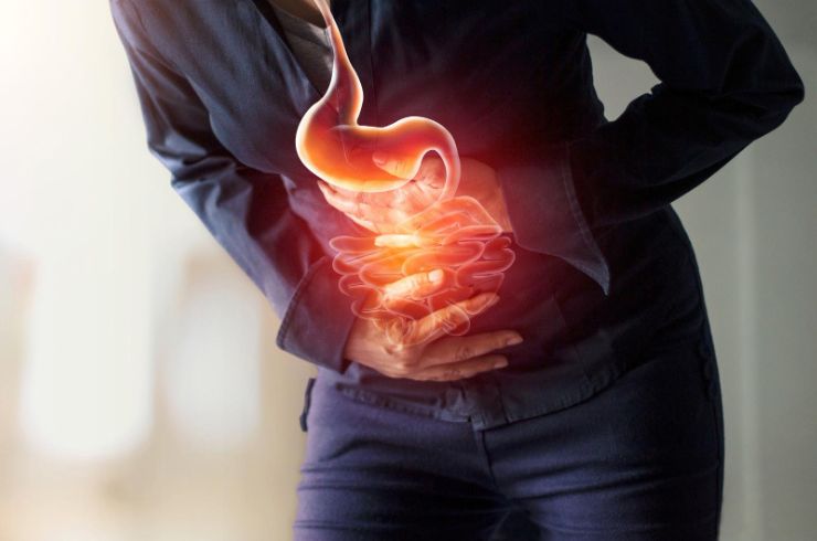 Digestive disorders gut health